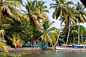 Kerala backwaters, our three hours neighborhood tour in the narrow canoe towards Vembanad Lake and along one of the  narrow canal running near our guest house at Kumarakom. 